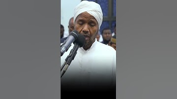 صلاة التراويح من سكرة بتونس (مقطع 365) - القارئ بلال بن محمود