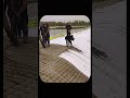 Why Engineers Are Pumping Concrete Into Giant Bubble Wrap #shorts #youtubeshorts #ytshorts