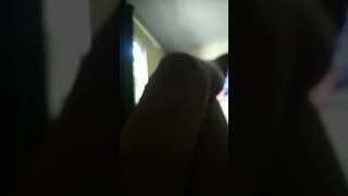 descansar elas as pernotas