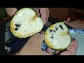 Cherimoya fruit  meza media fruit review