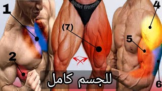 جدول تدريبي لجميع العضلات ( 4 مرات في الأسبوع ) كمال الأجسام