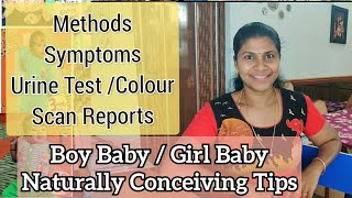 Boy Baby pregnancy Tips in Tamil👶| Baby Boy Scan Reports | Girl baby / Boy Baby Symptoms in Tamil🤰