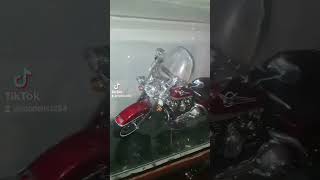 Arxamca Danişan Əmilər Baxsin