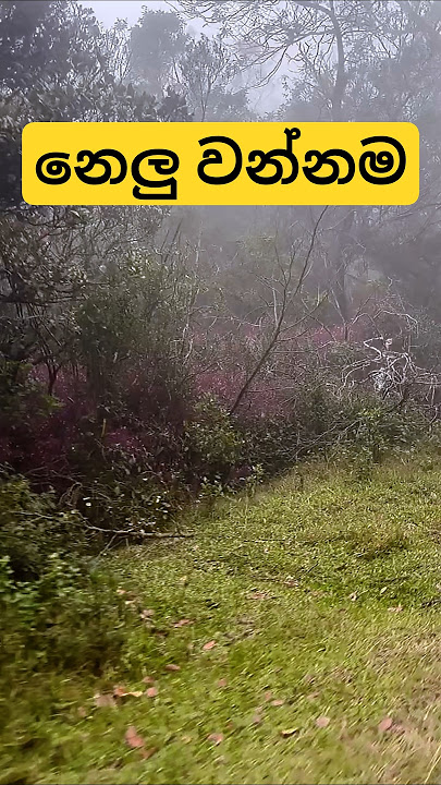 මෙක බලන්න එපා...😬😬😬😬 #1millionviews