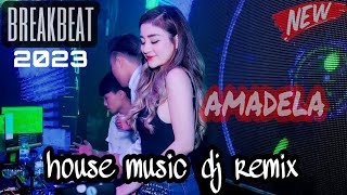 HOUSE MUSIC DJ REMIX - Amadela | BREAKBEAT