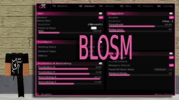 Raiding in Zee Hood With a New *FREE* External (Blatant camlock)