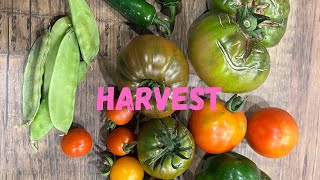 Harvesting from the Garden