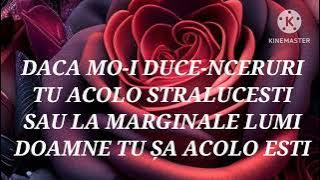 NEGATIV ALIN PARNO UNDE MA VOI DUCE DOAMNE NOU 2024