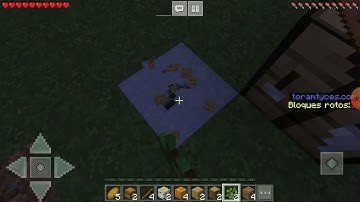 Survival series in Craftsman 4 one block part 2