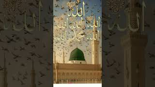 ya rasulullah ya habiballah sallallahu alaihi wasallam