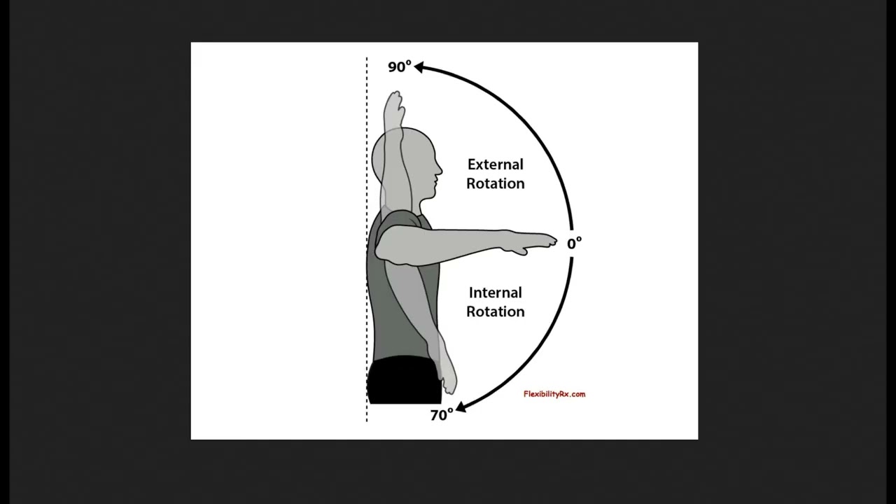 Exposing People Who Know Less Than Nothing About Lifting ft GVS & Basement Bodybuilding - Part 2