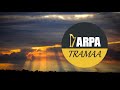 Rafael Volcán - Amores que matan