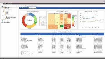 Db2 Web Query Version 2.2.1 In-Document Analytics Example
