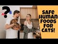 10 Safe "Human Foods" That Cats Can Eat