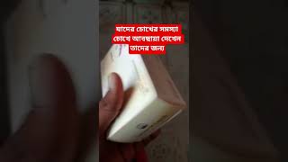 চোখের সমস্যায় খান Cod liver oil ক্যাপসুল। #shortvideo #helthbenefits #helthtips