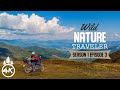 Wild Nature Traveler - Sky-high Carpathian Mountains - Travel Journal of a Lonely Biker - Episode #3