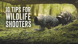 10 ways to improve your WILDLIFE photography & filmmaking - Without buying new gear!