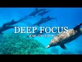 Deep focus music to improve concentration  12 hours of ambient study music to concentrate 719