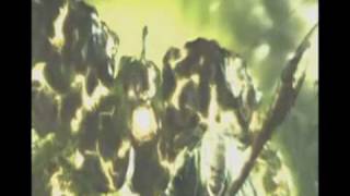 In Flames - Cloud Connected (Warcraft Music Video)