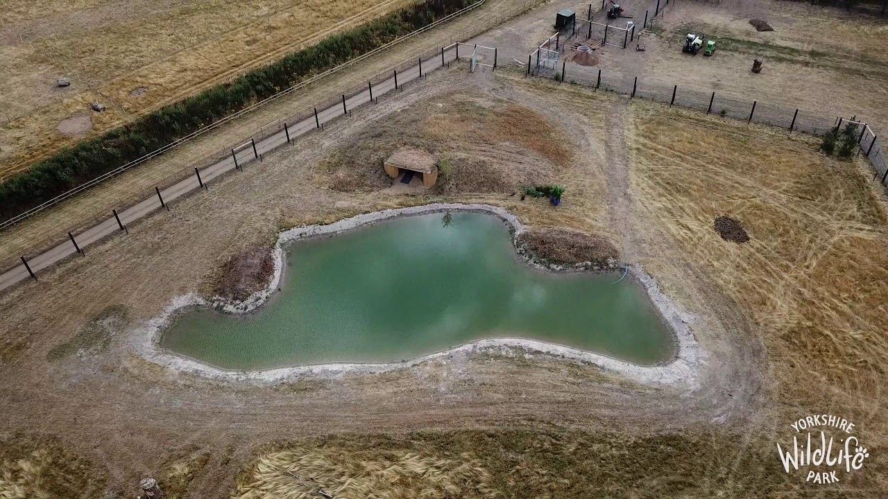 days out in. yorkshire New Brown Bear Reserve from the Air