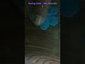 decorating comb