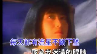 孟庭苇 - 谁的眼泪在飞 (1993 原版) / Ting-Wei Meng - Whose Tears Are Falling? (1993 Original)