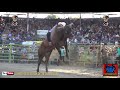 PRINCIPE GUARANI CON MOROCO DE PATZCUARO EN PICO RIVERA FINAL GIRA USA 2018