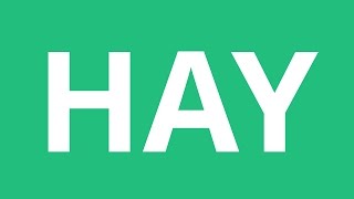 How To Pronounce Hay - Pronunciation Academy