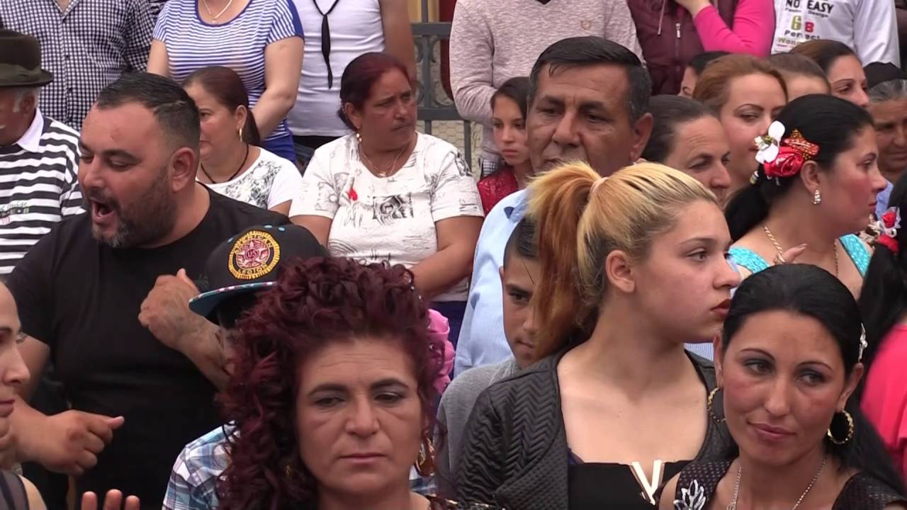 nunta stefan bailesti 2