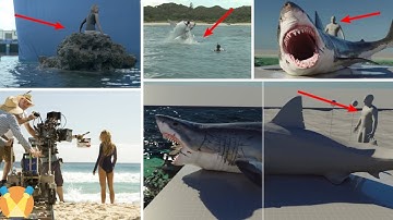 The Shallows without CGI - Best Compilation