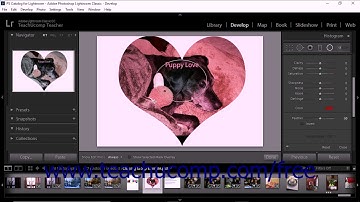 Lightroom Classic CC Tutorial Using the Radial Filter Tool Adobe Training