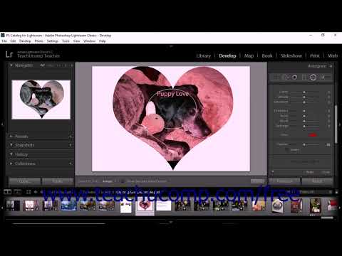 Lightroom Classic CC Tutorial Using the Radial Filter Tool Adobe Training