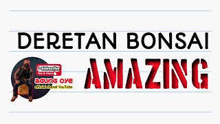 DERETAN BONSAI AMAZING