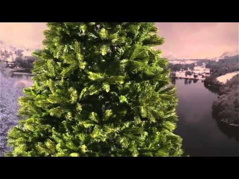 national-tree-bayberry-spruce-7-ft