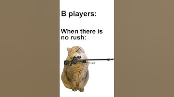 #memes #shortvideo #funny #cs2 #csmeme #csgo