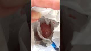 1st Edible Bake in New Ardent Flex Step 1
