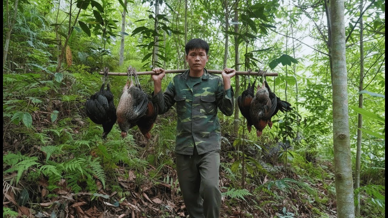 Life in the Wilderness | Trapping Wild Chickens and Catching Stream Fish with Bare Hands