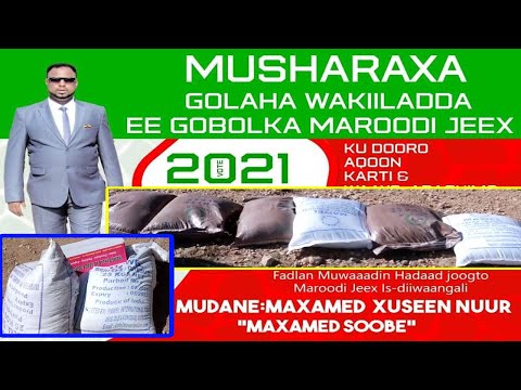 Musharaxa Golaha Wakiilada Somaliland Maxamed Xuseen Ayaa Deeq Raashina Gaadhsiyay Deeganadiisa