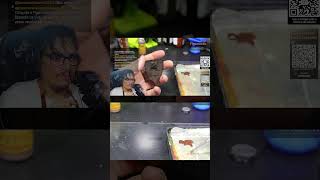A Técnica Secreta do Dry Brush para Madeira em Miniaturas - Parte 2