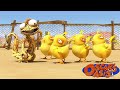 Oscar Becomes A Baby Chick More Oscars S Oasis Cartoons For Kids 