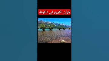 سورة.الأنعام سعود.الشريم #المصحف #duet #flowers #quran #لايك #اكسبلور #ترند #احترم.القران.دقيقة