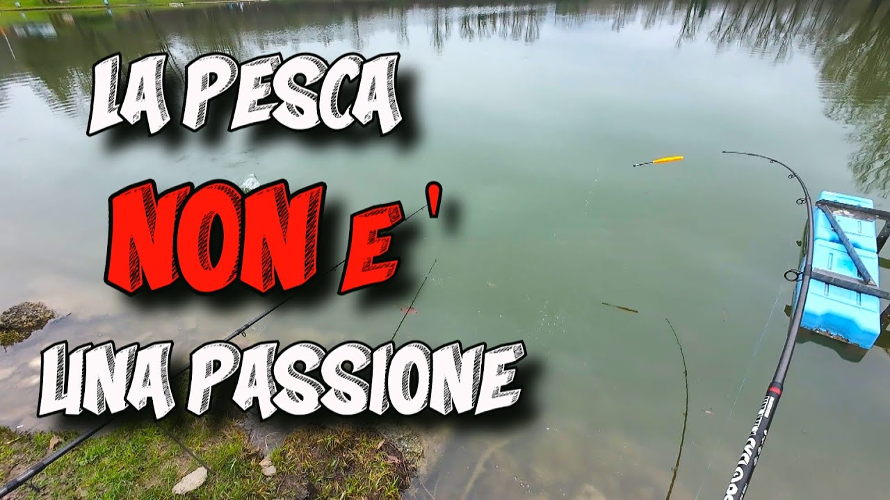 PESCA ALLO STORIONE : LA PESCA NON E' UNA PASSIONE