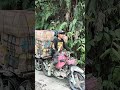 Rombongan Ojek Kec Rampi Menuju Harapan dalam Impian.....Tidak Senyata Harapan Bupati Luwu Utara !!!