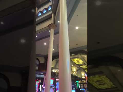 Да ну его это игроки????? #casino #gta #gtarp #majestic#casino#casino gta #majesticrp#gta#roblox