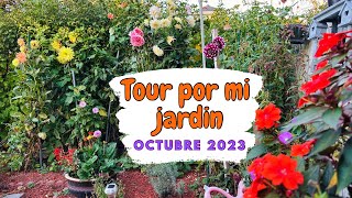 TOUR por mi JARDÍN en OCTUBRE | MI PEQUEÑO GRAN JARDIN EN OTOÑO