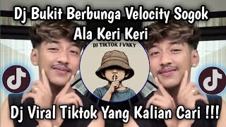 Download Lagu VELOCITY BUKIT BERBUNGA SOGOK ALA KERI KERI VIRAL TIKTOK  MP3 Download Lagu VELOCITY BUKIT BERBUNGA SOGOK ALA KERI KERI VIRAL TIKTOK  MP3