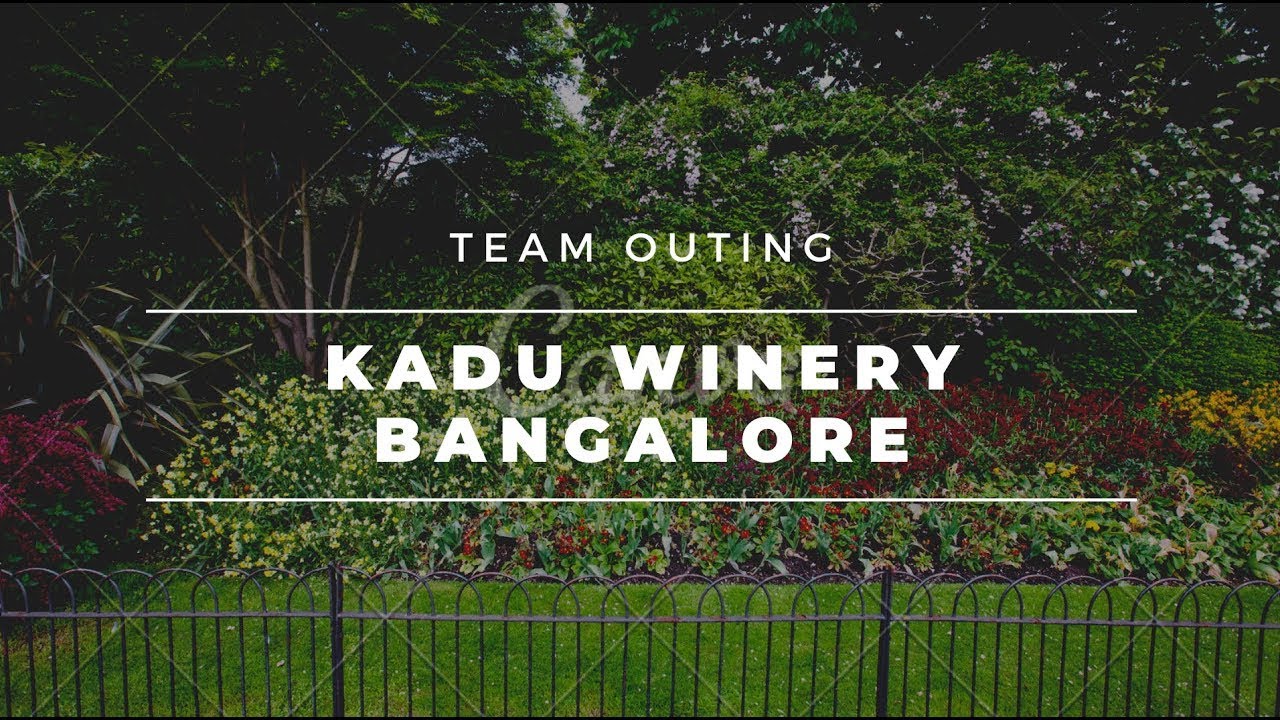 Kadu Winery Ramanagara Bangalore Team Outing Vlog YouTube