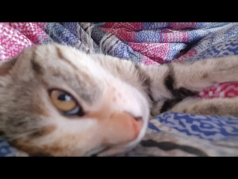 when she never let me sleep and of course i love this moment ❤ 😍