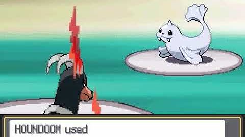 Pokemon HGSS Dark Monotype: Pryce