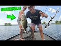 Fishing Lake Guntersville in the Summertime [4K]